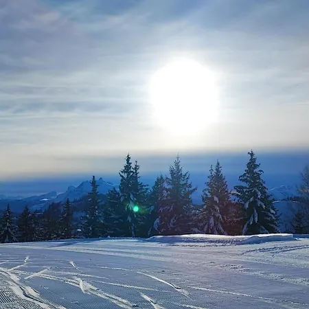 Les Flocons * Les Gets